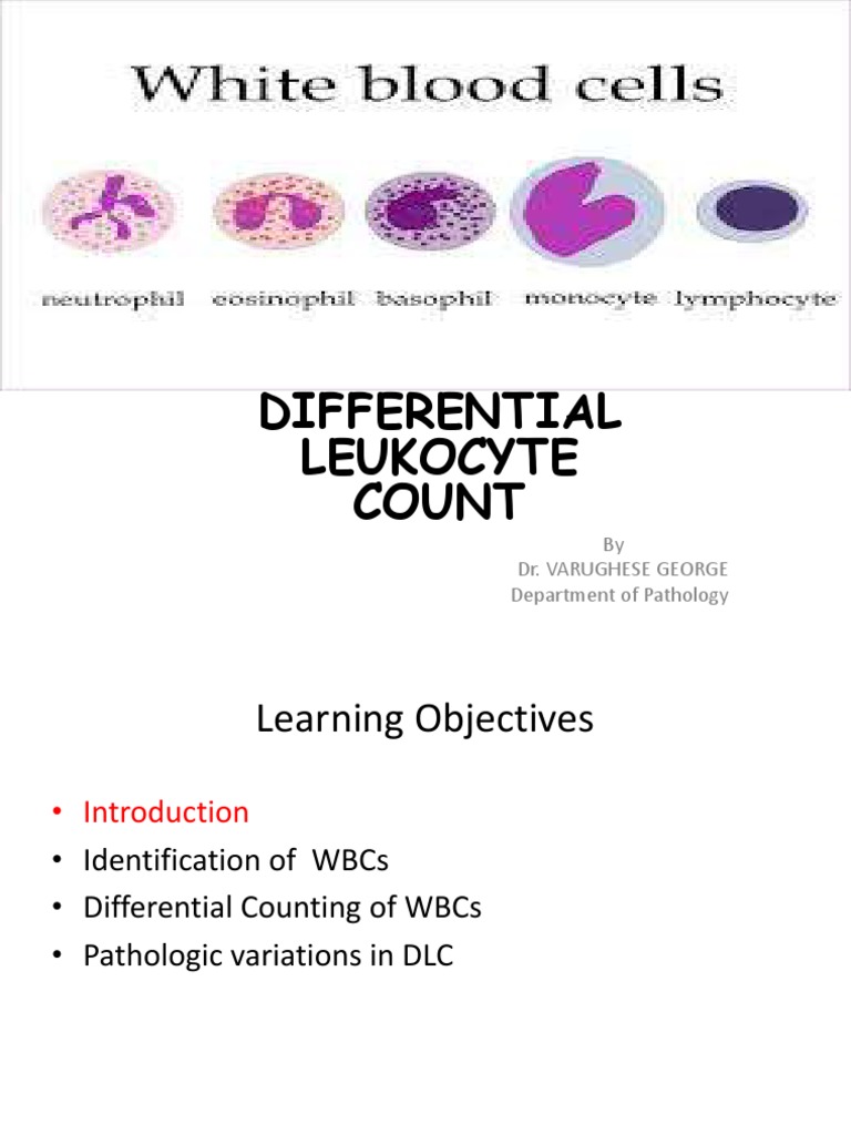Differential Leukocyte Count by Dr. Varughese Department of