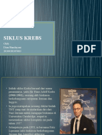 SIKLUS KREBS DAN PROSES RESPIRASI SEL