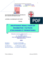 Insuffisance Renale Aigue en Reanimation: Facteurs Etiologiques Et Pronostiques