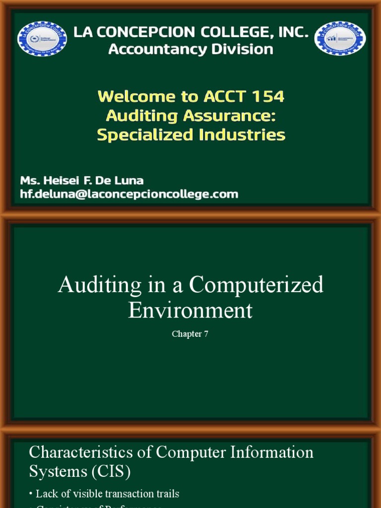 Auditing in Computerized Environments | PDF | Computers