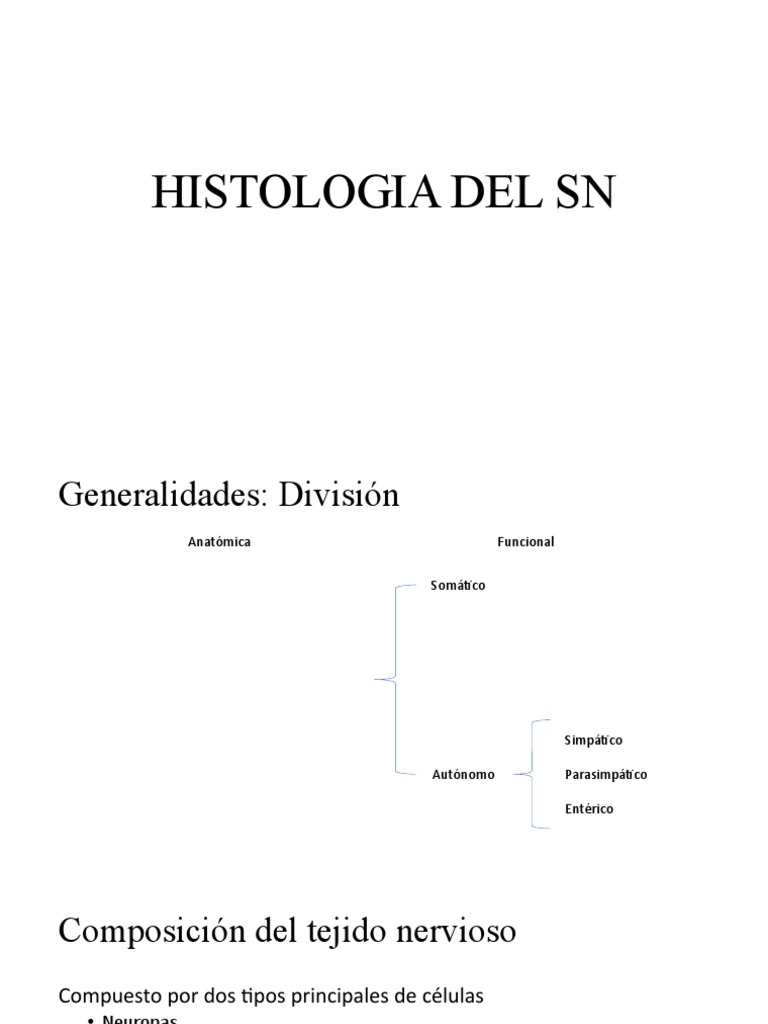 Histologia Del SN | PDF | Neurona | Sinapsis