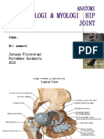 ANATOMI artrologi & myologi hip joint ke-6______5