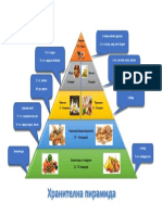 Food Pyramid - 7 KL