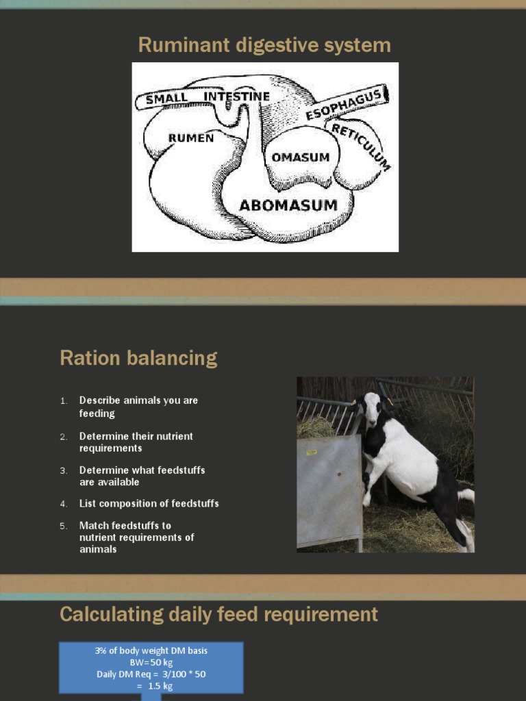 Nutrient Requirements of Sheep and Goats PDF Animal Feed Nutrients