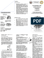 TRIPTICO PANDEMIA AH1N1, Facultad de Medicina 2010