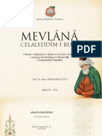 Mevlânâ (PDFDrive)