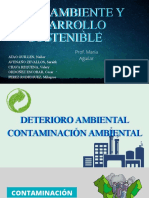 Deterioro Ambiental Contaminación Ambiental