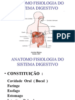 Anatomo Fisiologia Digestiva