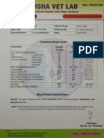 Complete Blood Count and Biochemical Analysis for Canine Patient Bittu
