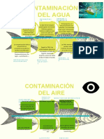 Amarillo Verde Azul Diagrama de Cola de Pescado 1