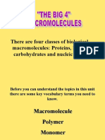 There Are Four Classes of Biological Macromolecules: Proteins, Lipids, Carbohydrates and Nucleic Acids