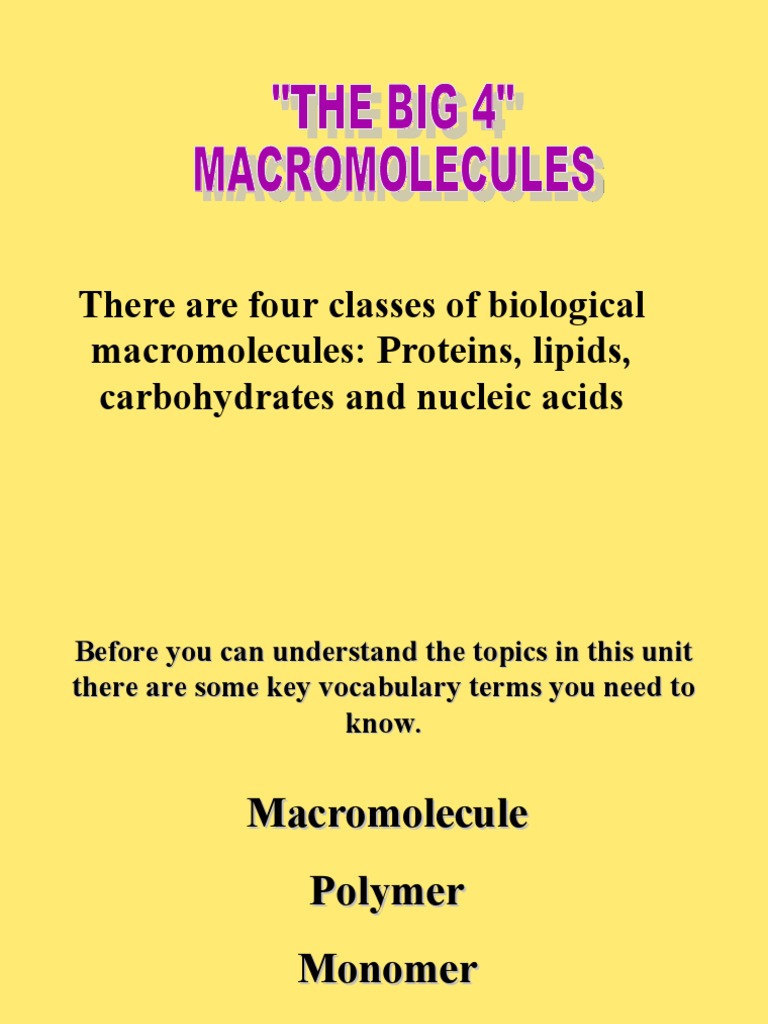 Which Class of Macromolecules Has the Most Number of Uses-Biology Basics