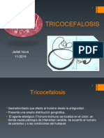 Trico Cefalosis
