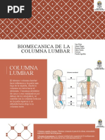 Anatomía de la Columna Sacra y Lumbar | PDF | La columna vertebral ...