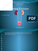 Expo Excretor
