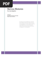 Nervos Motores
