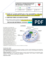 Guia 3. La Celula