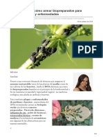 infocampo.com.ar-Botiquín verde cómo armar biopreparados para combatir plagas y enfermedades