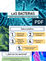 Las Bacterias