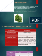 Caracteristicas Del Proyecto