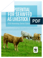 Potential For Seaweed As Livestock Feed Workshop Report 2020