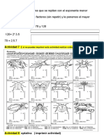 Multiplos y Divisores 1er Ano - Docx 13