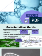 Protozoários: características e doenças