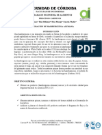 Hamburguesa alemana: elaboración y análisis nutricional