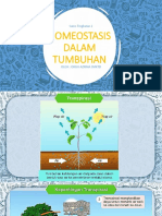 Homeostasis Dalam Tumbuhan