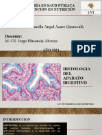 Histologia Del Aparato Digestivo