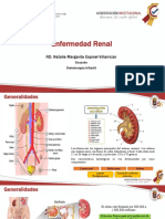 Enfermedad Renal y Cancer