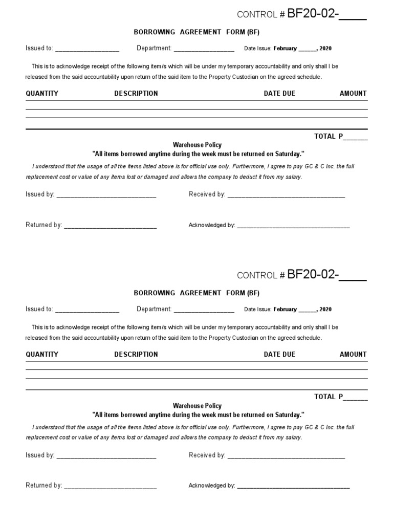 Borrowing Template | PDF | Economies | Business