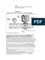 Operación de Registrador de Carta Circular