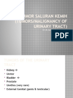 Tumor Saluran Kemih (Tumors/Malignancy of Urinary Tract) : Dr.M.Galuh Richata, Spu