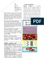 Informe Extra Aula