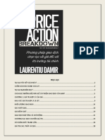 Price Action Breakdown-Laurentiu Damir