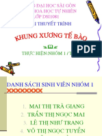 (123doc) - Khung-Xuong-Te-Bao
