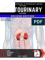 6SAMPLE - Genitourinary System Notes