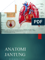 anatomi-jantung