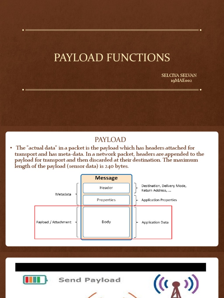 Understanding Payload Functions in LoRaWAN | PDF | Business | Computers