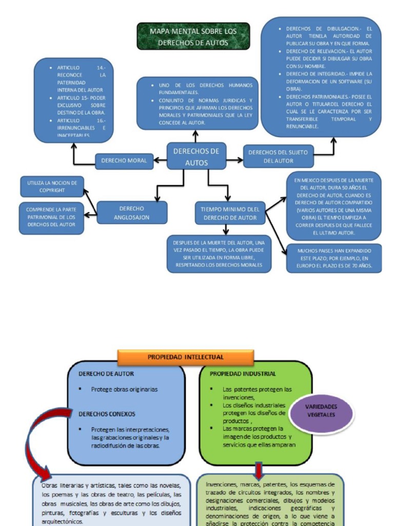 Mapa Mental de Las Ramas Que Protege El Derecho de Autor 1 | PDF