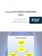 Resumen Vision Funcional 2021