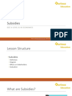 Subsidies Notes A Level IB