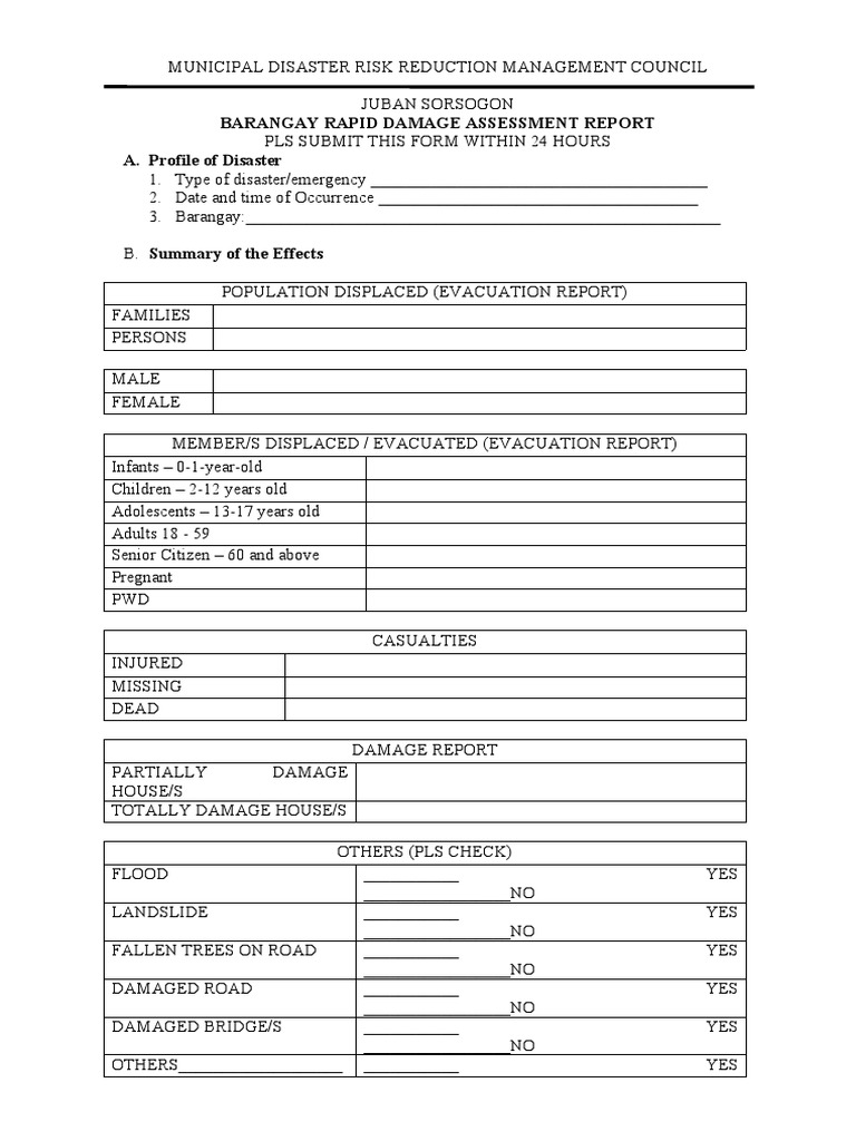 Barangay Rapid Damage Assessment Report | PDF