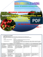 Resumen 1. Recurso Agroindustrial Café I. 2021 I. Dr. Walter Panduro Calderón..
