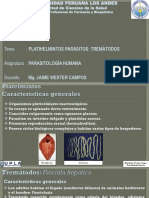 T5. - Tremátodos Parásitos Fasciola Hepatica