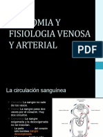 Anatomia y Fisiologia Venosa y Arterial