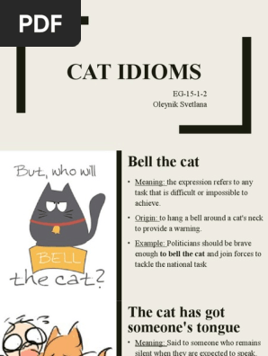 misshelen on X: Animal #idioms #cat #english #ingles #esl