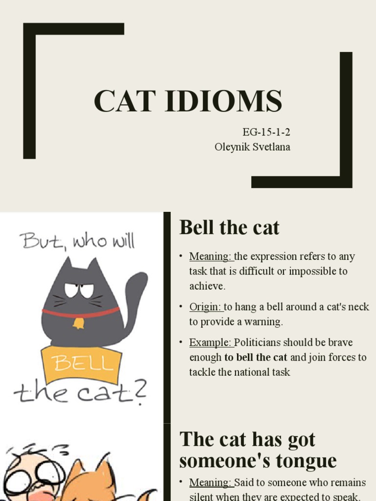 misshelen on X: Animal #idioms #cat #english #ingles #esl
