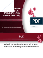 Penyakit Jantung Koroner (PJK) Cad (Coronary Arteri Disease)